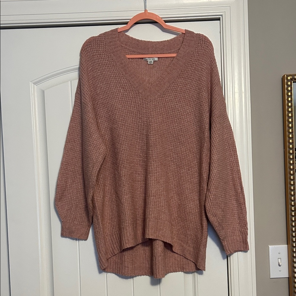 American Eagle Outfitters V-Neck Sweater in Dusty Rose